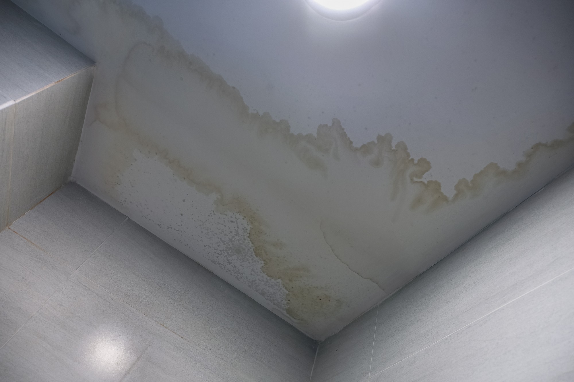 Sure, here is a detailed alt text description for the image:
"A photograph showing a section of an indoor ceiling with evident water damage. The ceiling is primarily light-coloured, but a noticeable, irregularly shaped water stain disrupts the otherwise smooth surface. The stain varies in colour, with a darker, more saturated centre, gradually fading to lighter brown hues as it extends outward. The texture of the stain appears slightly rough, suggesting prolonged exposure to moisture. The surrounding ceiling area looks intact and clean, highlighting the contrast with the damaged portion. There are no other visible elements, such as furnishings or lights, apart from the stained section."